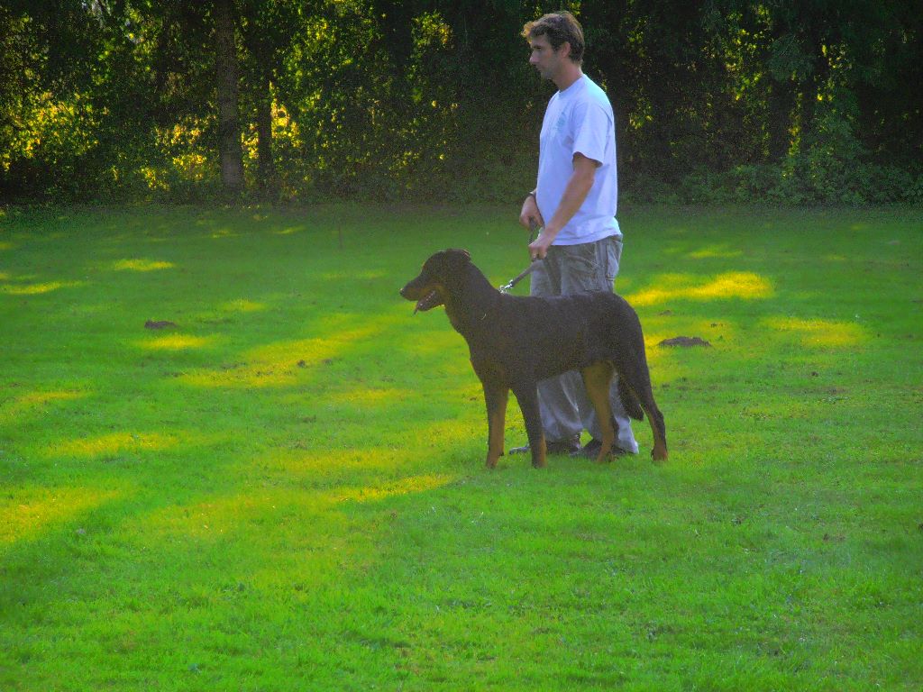 Fargas des bergers du Vent