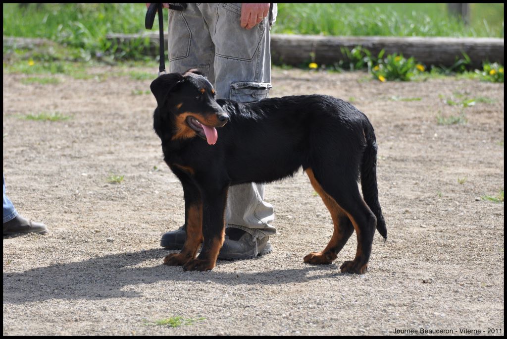 Fargas des bergers du Vent