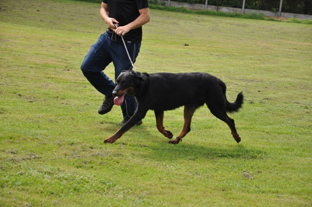 Fargas des bergers du Vent