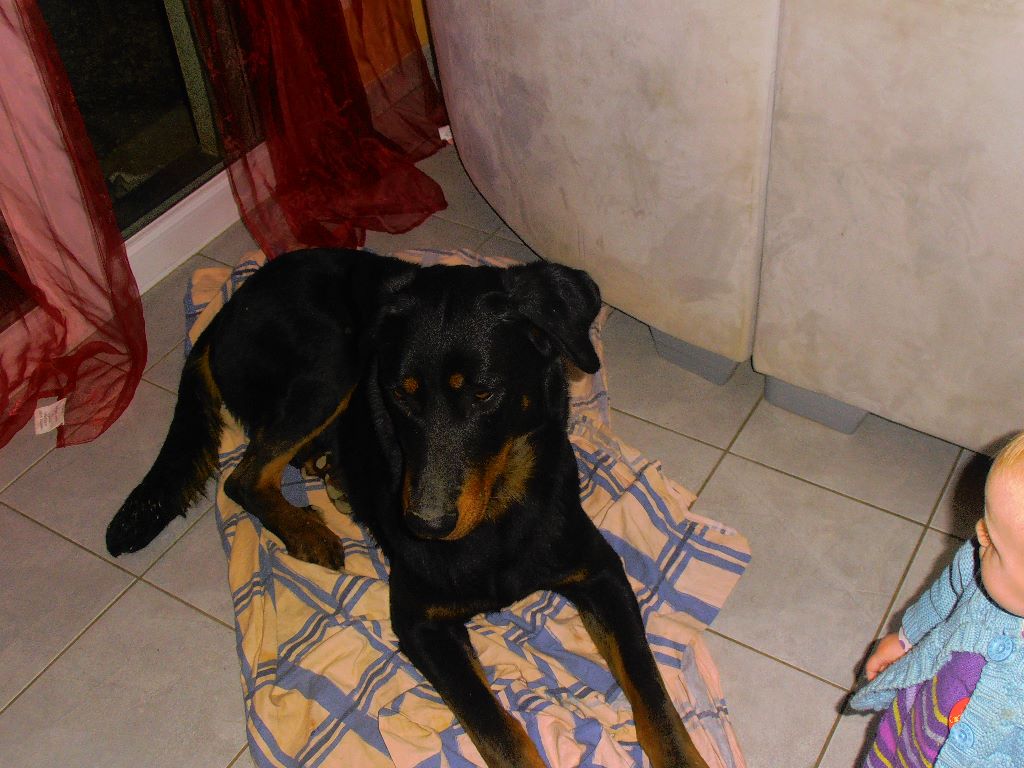 Fargas des bergers du Vent