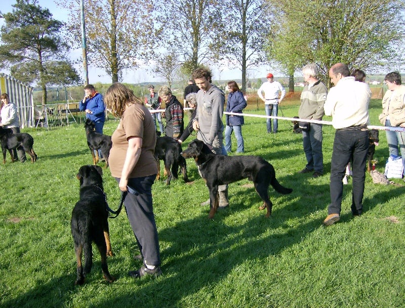 Dark des bergers du Vent