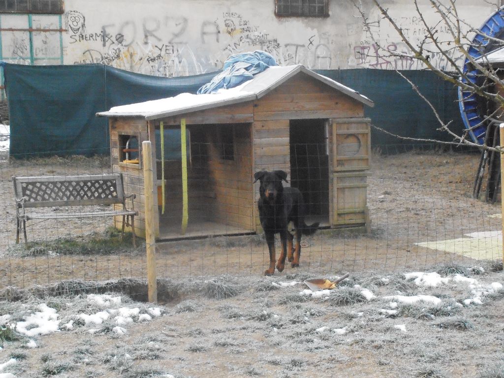 Fargas des bergers du Vent