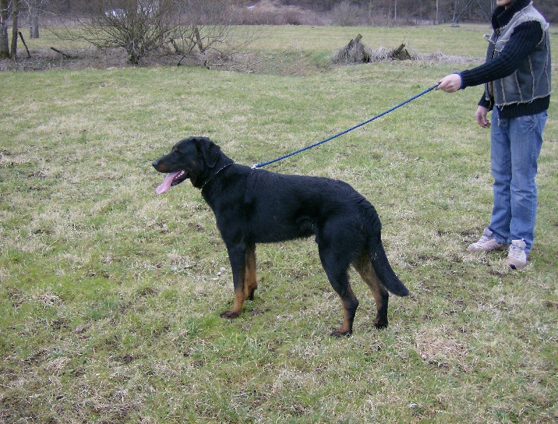 Dark des bergers du Vent