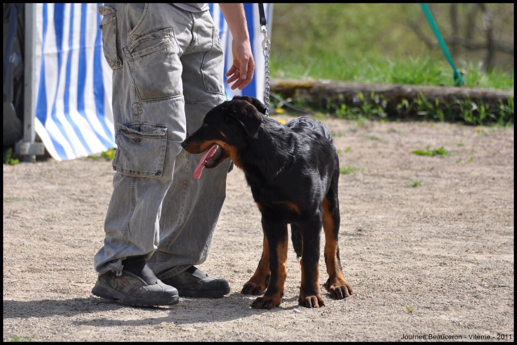 Fargas des bergers du Vent