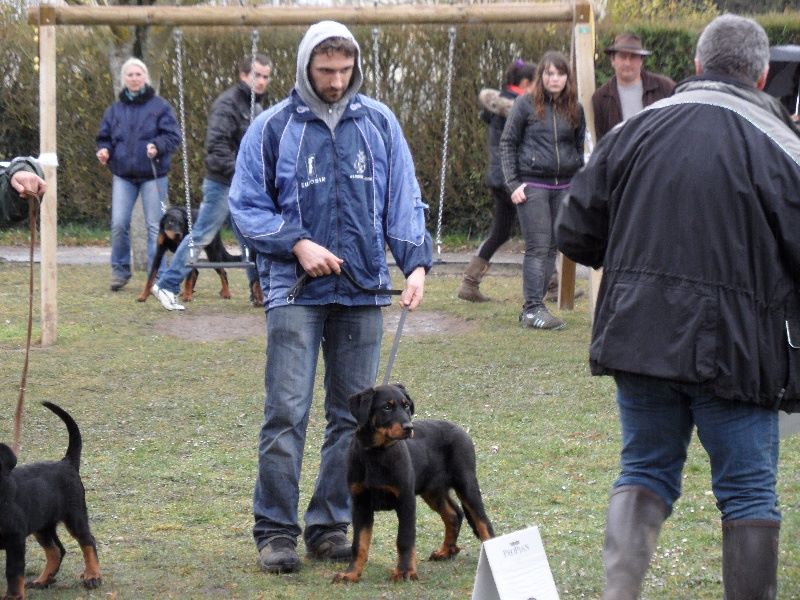 Fargas des bergers du Vent