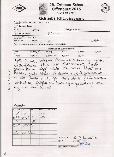 Flicka des bergers du Vent - VDH,CAC,CACIB