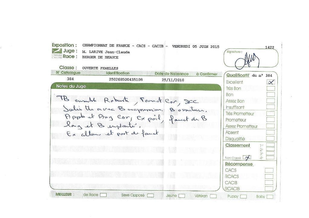 Flicka des bergers du Vent - Excellent