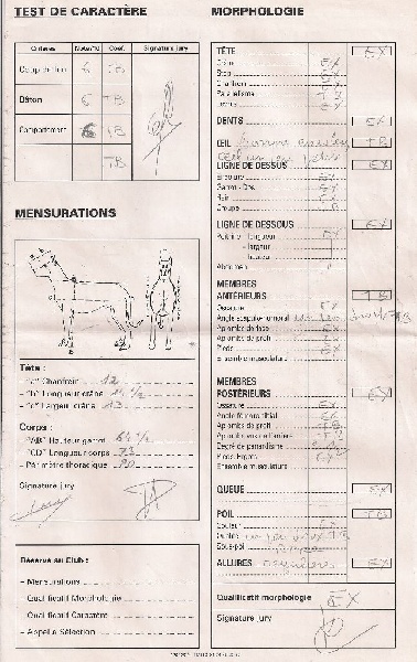 Flicka des bergers du Vent - Aucune