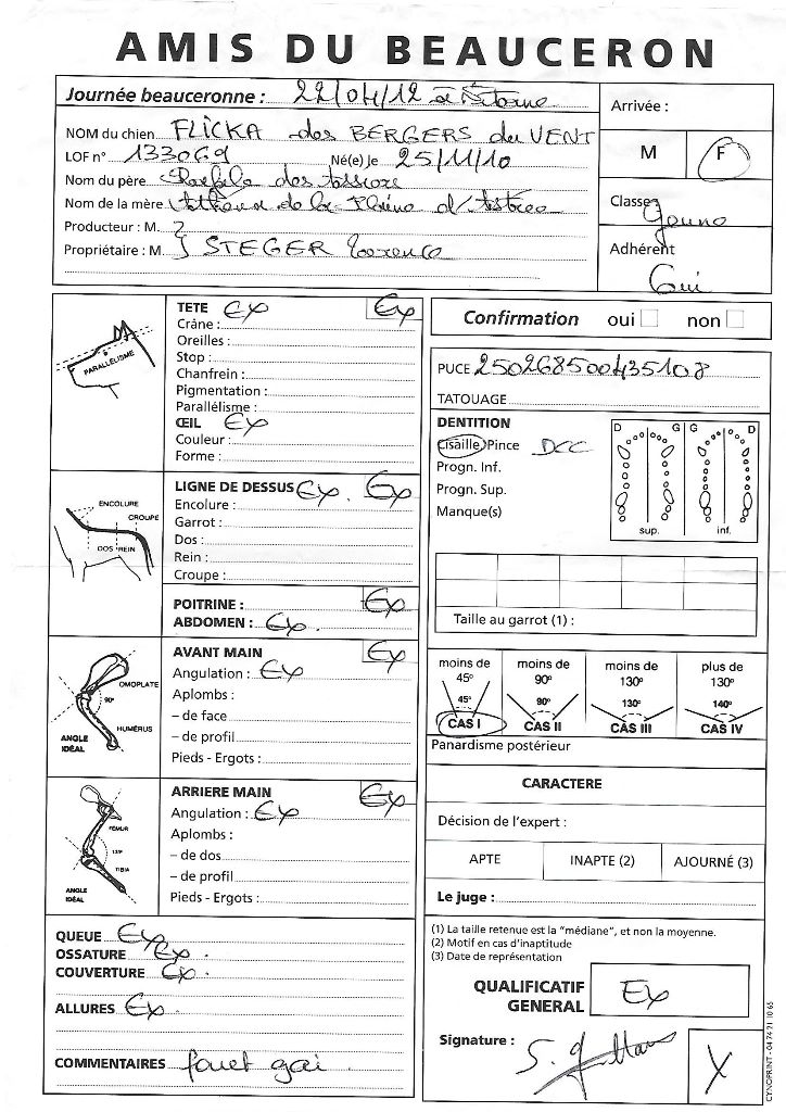 Flicka des bergers du Vent - 3 Exc classe jeune