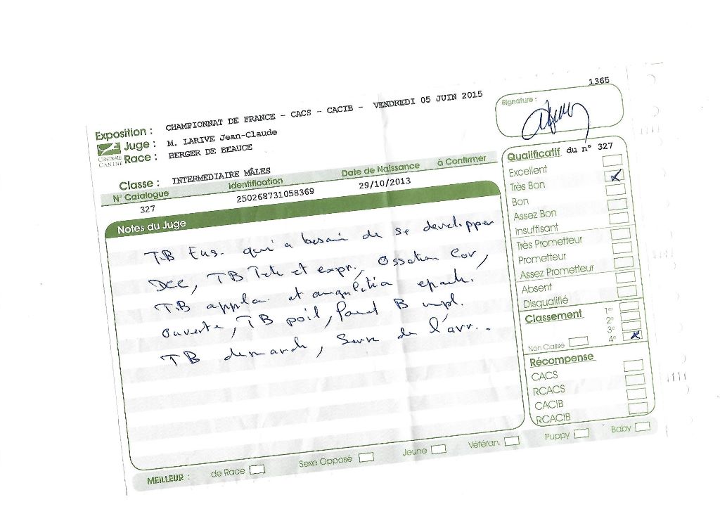 Ikon des bergers du Vent - 4e intermédiaire mâle Très Bon