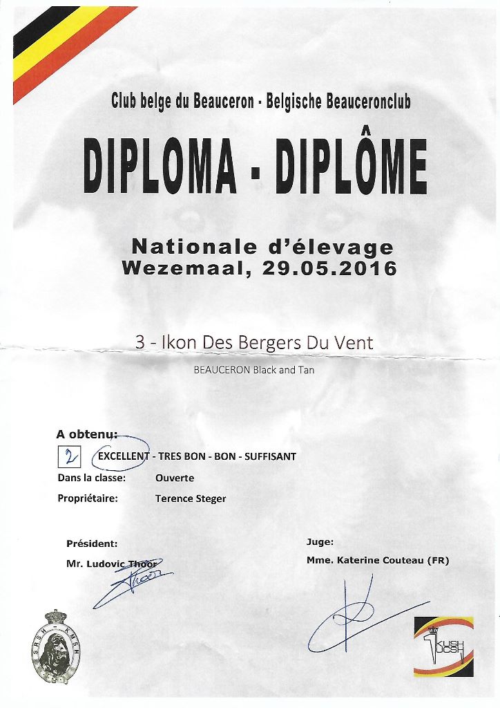 Ikon des bergers du Vent - 2e mâle en ouverte, excellent