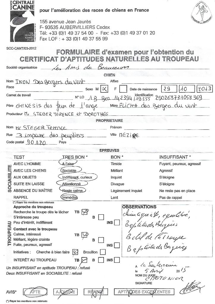 Ikon des bergers du Vent - CANT