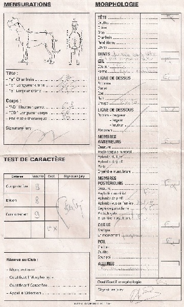 Flicka des bergers du Vent - 1 exc classe intermédaire + Cotation 3.