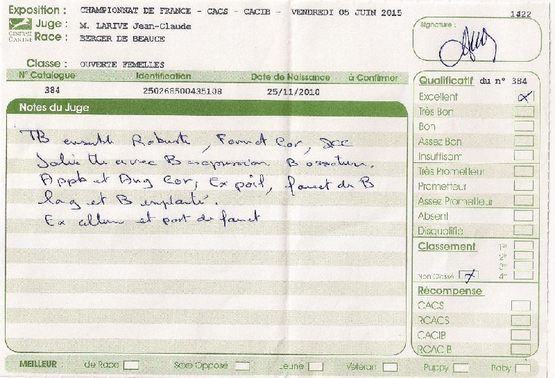 Flicka des bergers du Vent - Exc classe ouverte