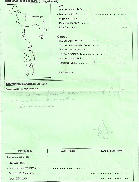 Flicka des bergers du Vent - Non classée