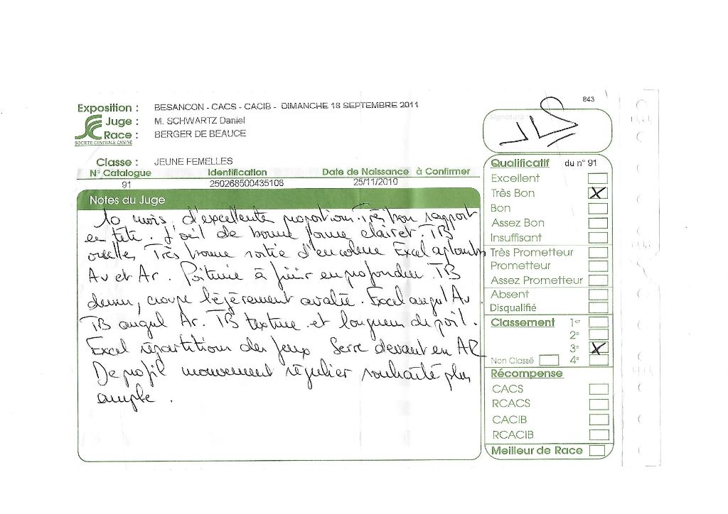 Flicka des bergers du Vent - 3e jeune TB