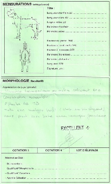 Flicka des bergers du Vent - Cotation 4 (recommandée)