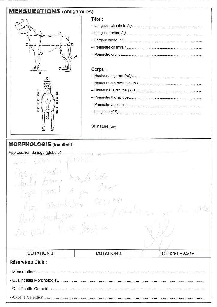 Ikon des bergers du Vent - Non classé