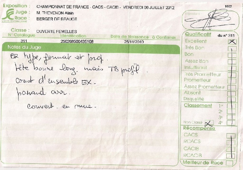 Flicka des bergers du Vent - Exc. classe ouverte