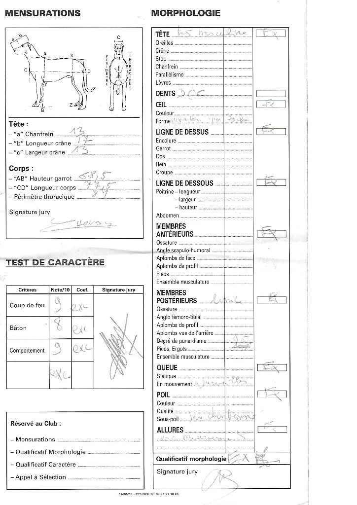 Ikon des bergers du Vent - 2e intermédiaire mâle et et Cotation 3
