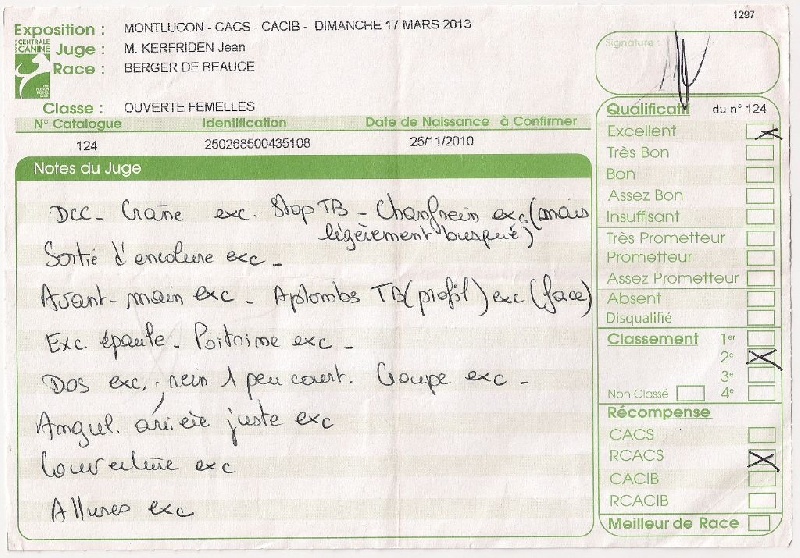 Flicka des bergers du Vent - RCACS