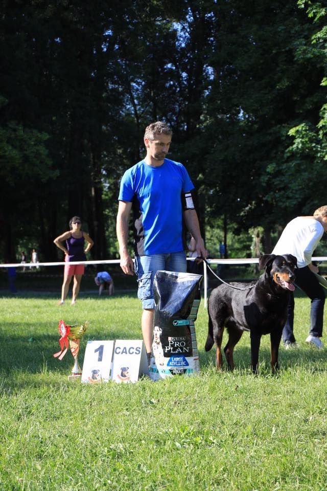 Flicka des bergers du Vent - 1e ouverte femelle et CACS