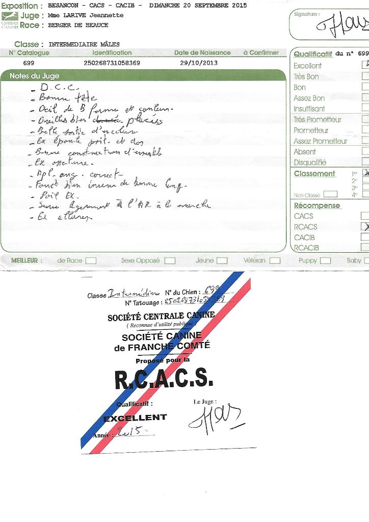 Ikon des bergers du Vent - RCACS, 1er intermédiaire mâle excellent