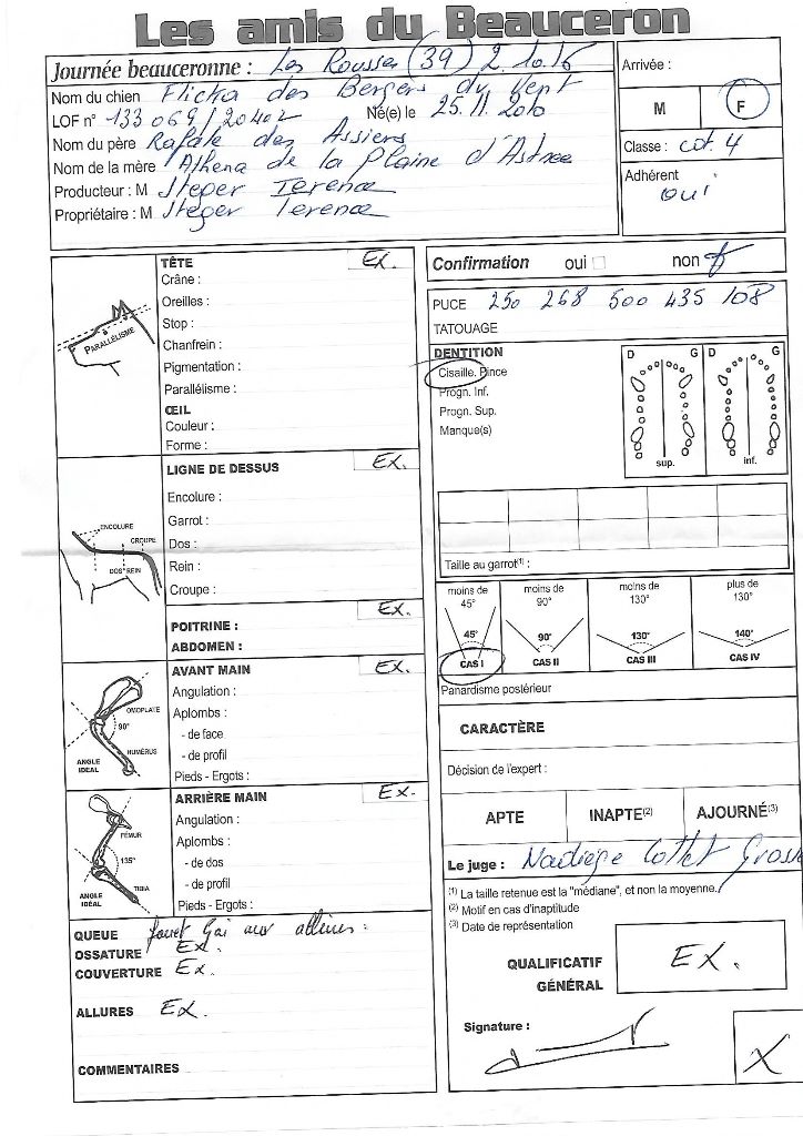 Flicka des bergers du Vent - Excellent