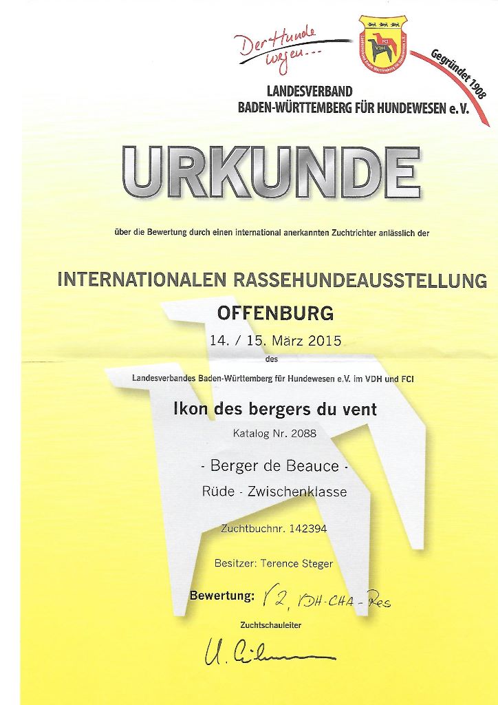 Ikon des bergers du Vent - 2e excellent en intermédiaire mâle