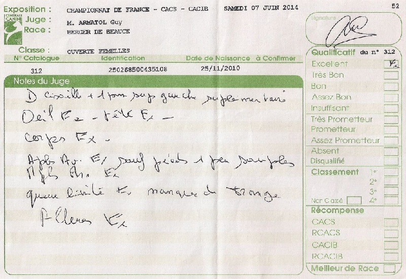 Flicka des bergers du Vent - 6eme Exc classe ouverte