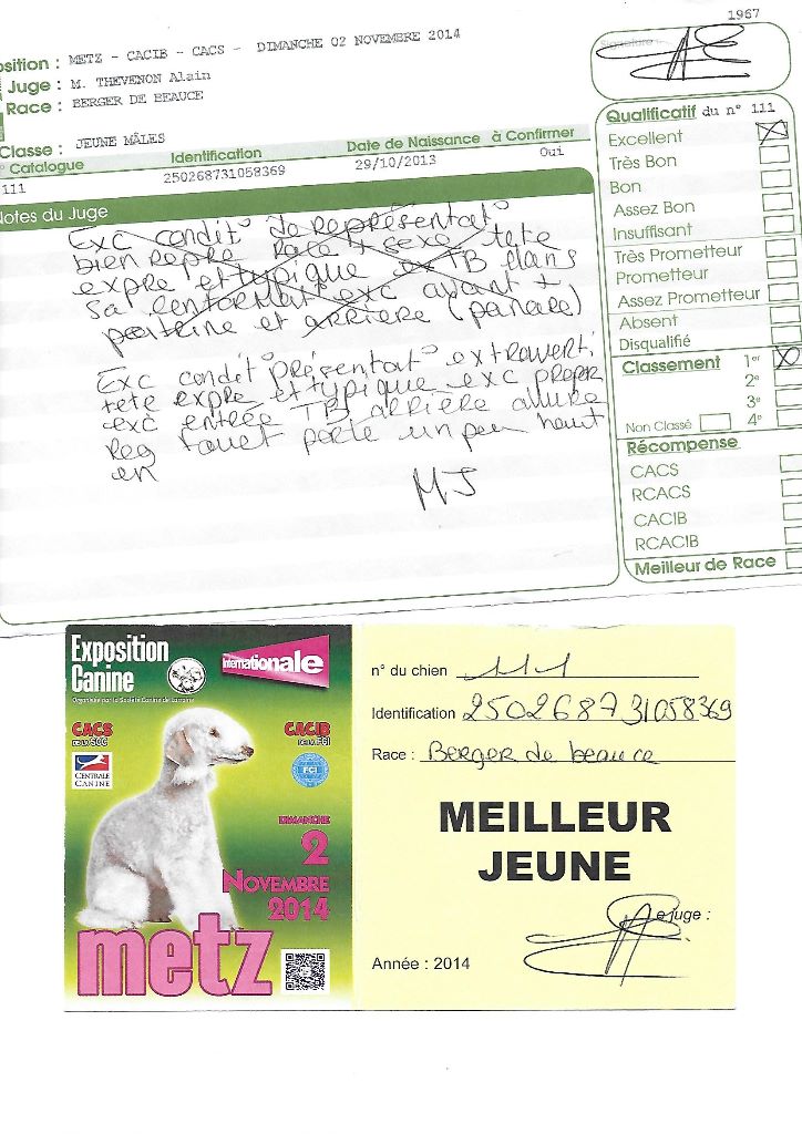 Ikon des bergers du Vent - Meilleur jeune et excellent