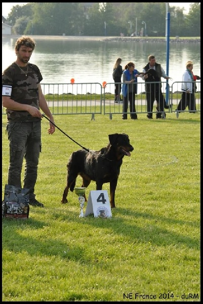 Flicka des bergers du Vent - 4eme en classe recommandée