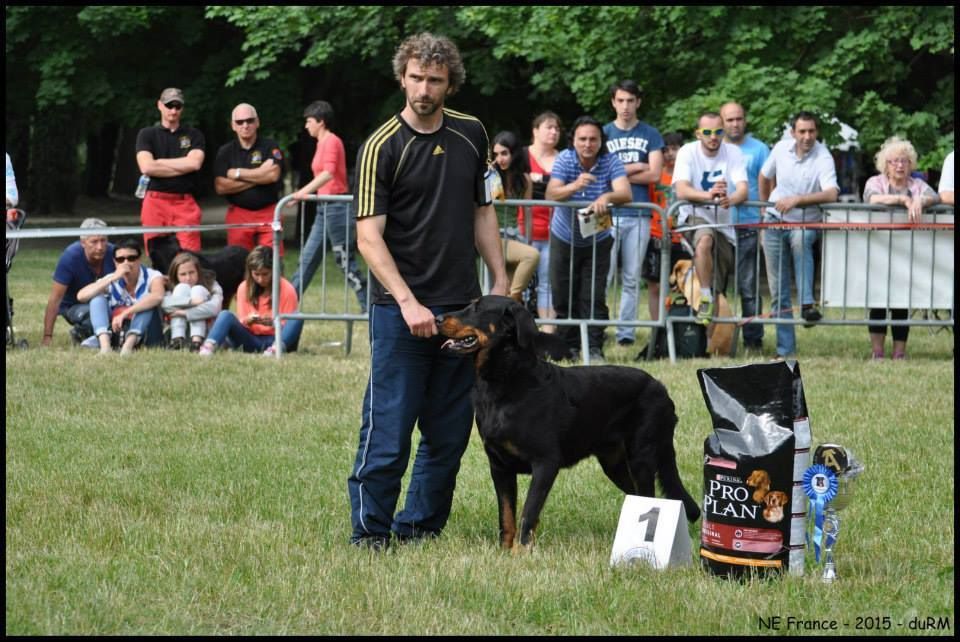 Ikon des bergers du Vent - 4e CACS mâle, 1er intermédiaire mâle et COTATION 4