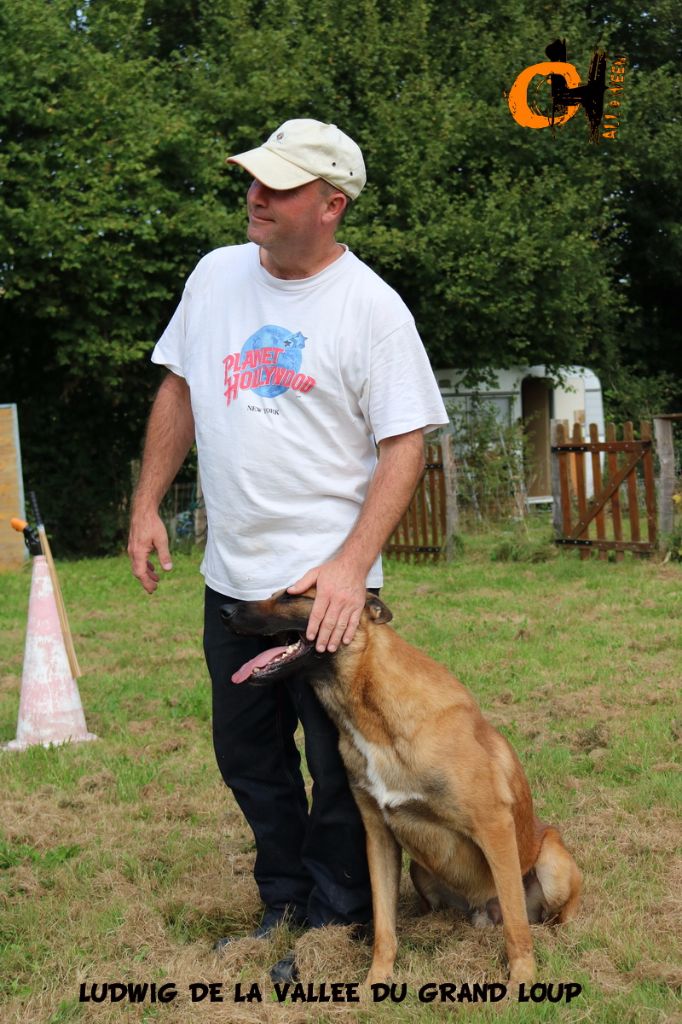 Publication : of Halloween