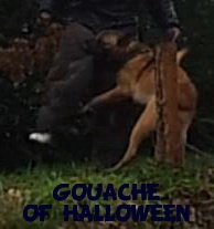 Publication : of Halloween Auteur : C.GUILLON-XENARD