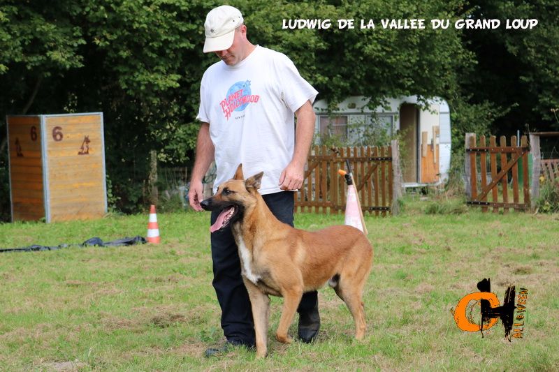 Publication : of Halloween