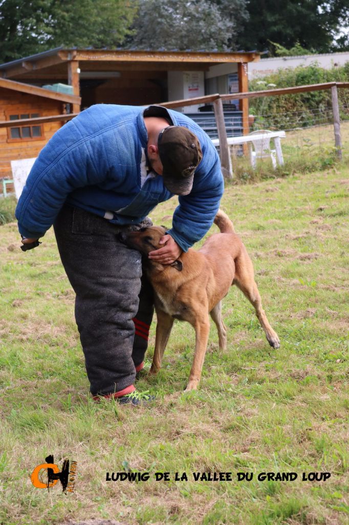 Publication : of Halloween