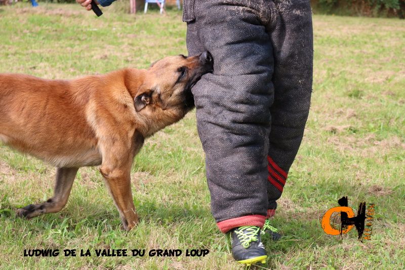 Publication : of Halloween