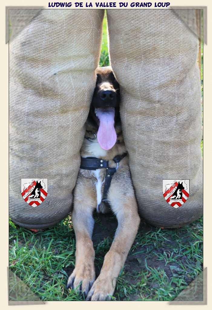 Publication : of Halloween