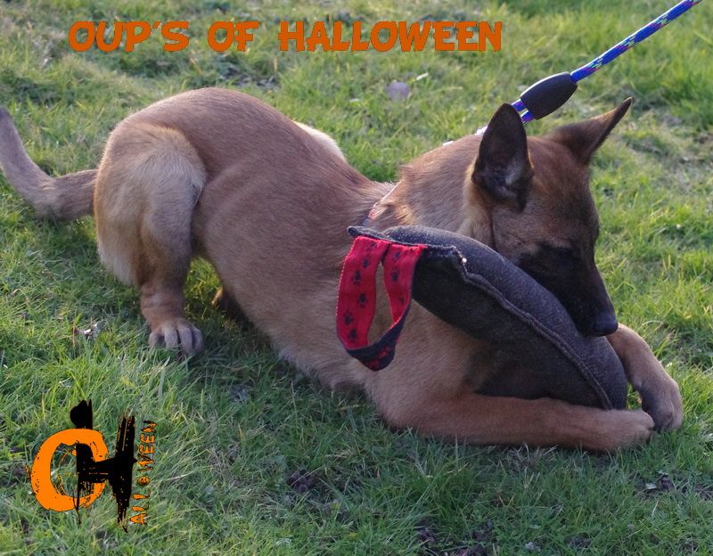 Oups of Halloween