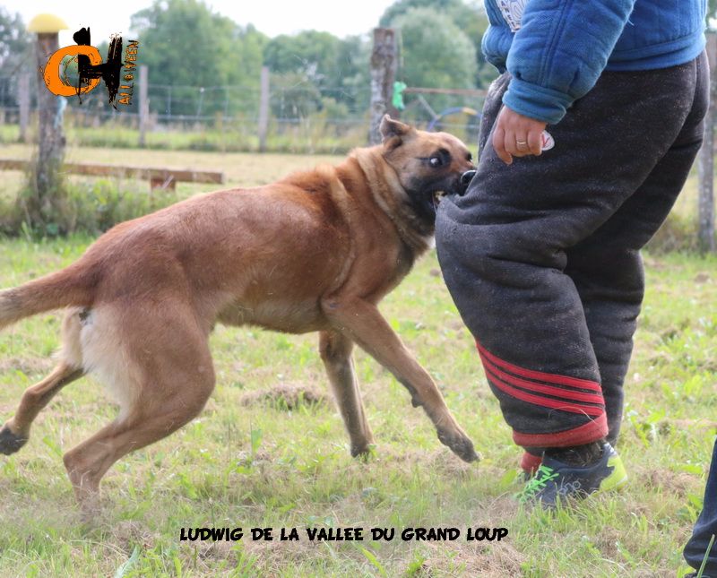 Publication : of Halloween