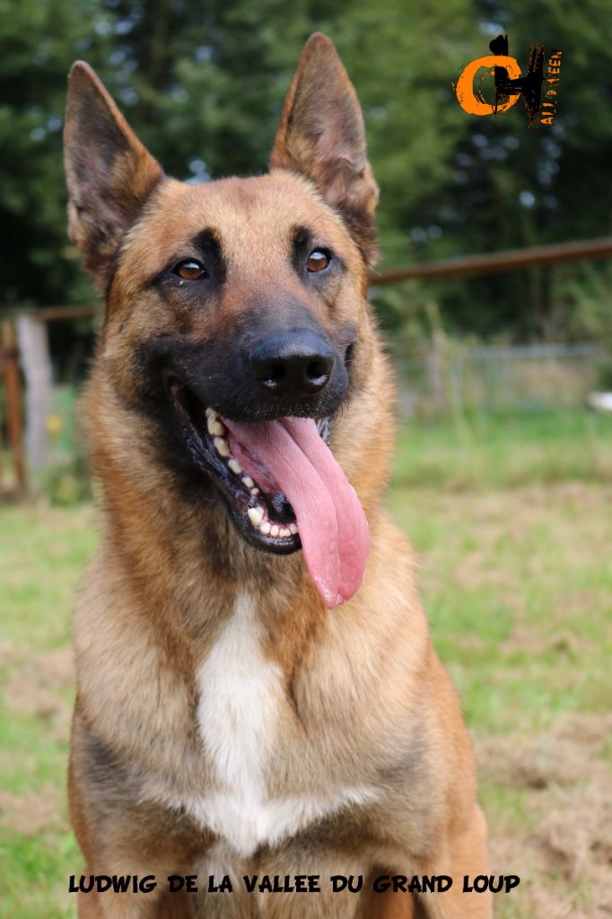 Publication : of Halloween