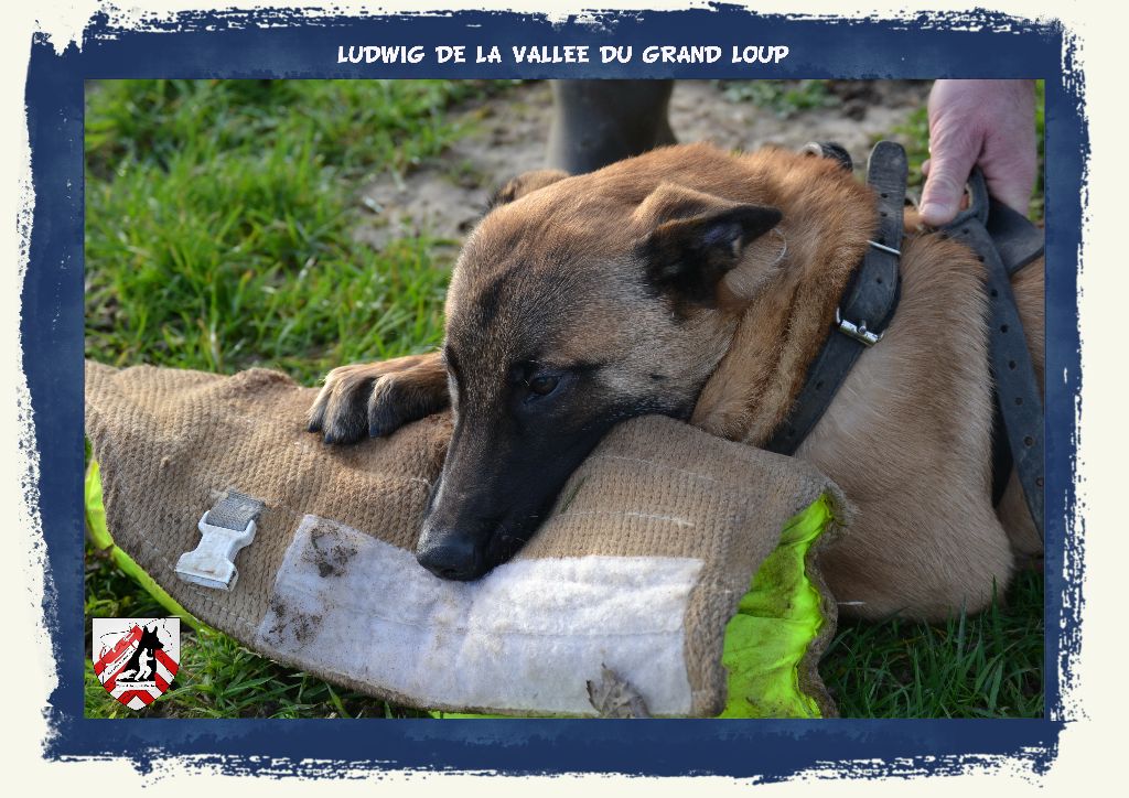 Publication : of Halloween