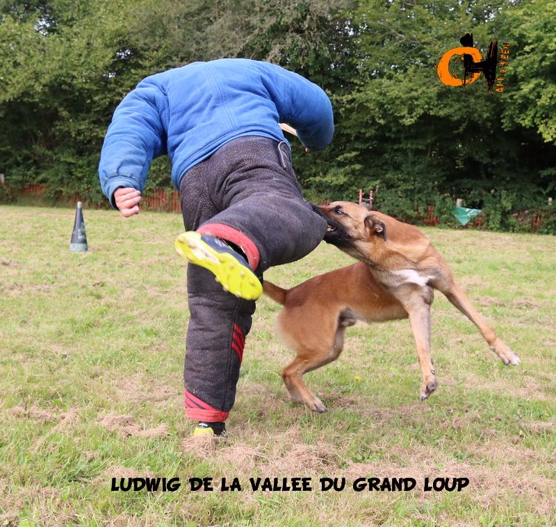 Publication : of Halloween