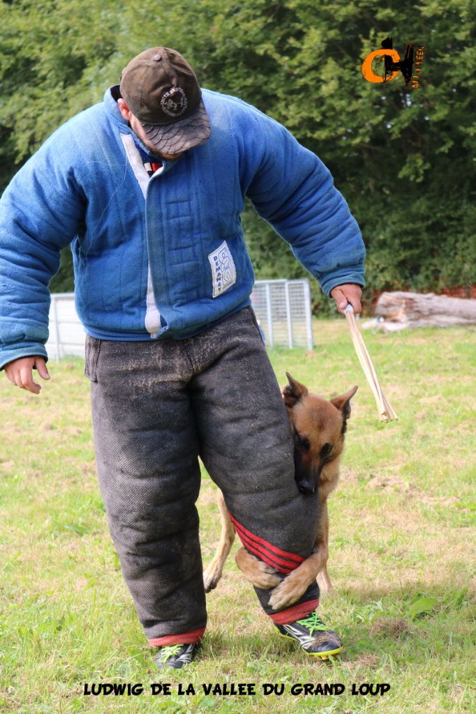 Publication : of Halloween