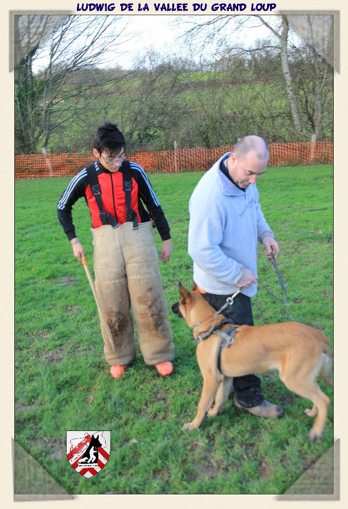 Publication : of Halloween