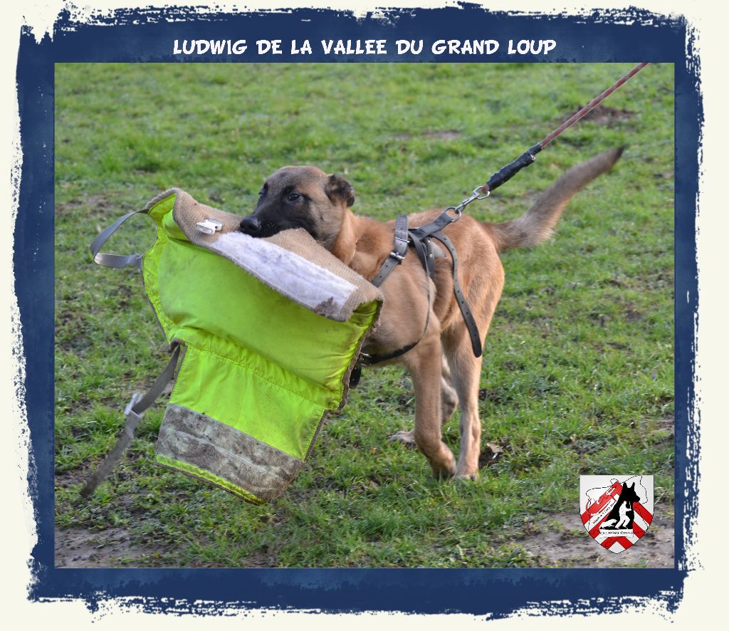 Publication : of Halloween