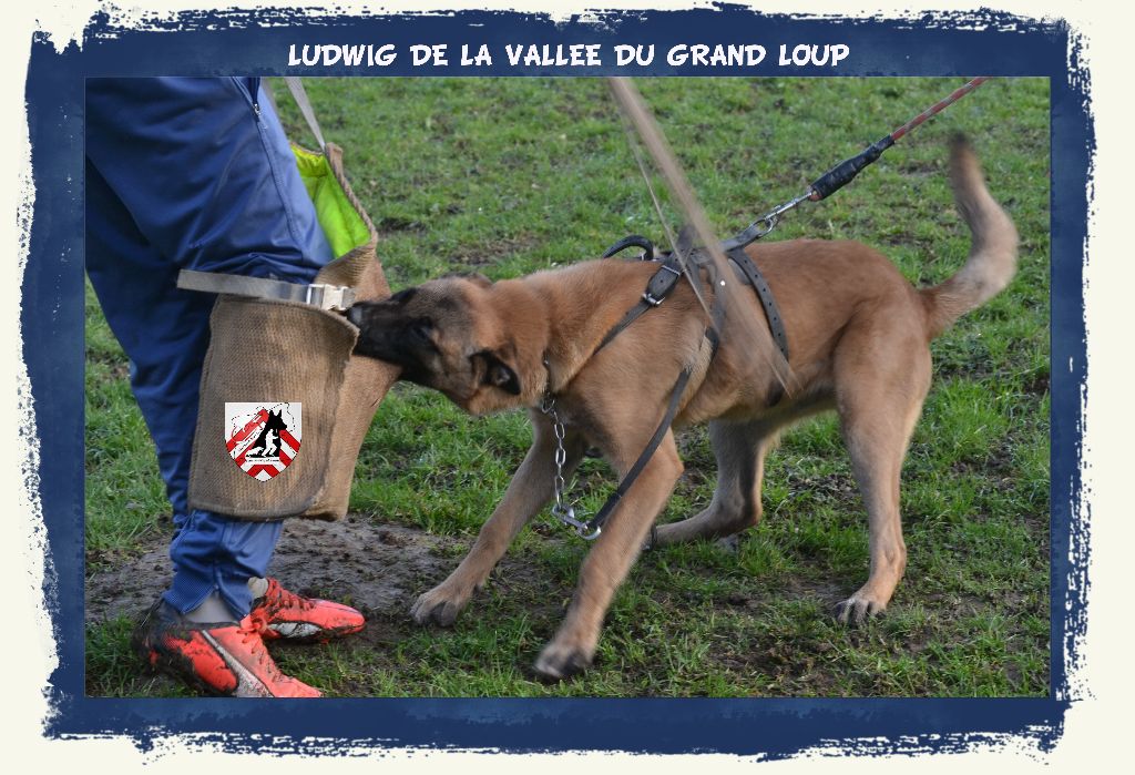 Publication : of Halloween