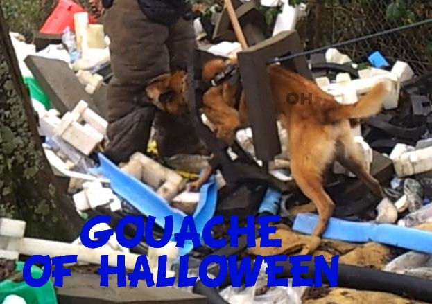 Publication : of Halloween Auteur : C.GUILLON-XENARD