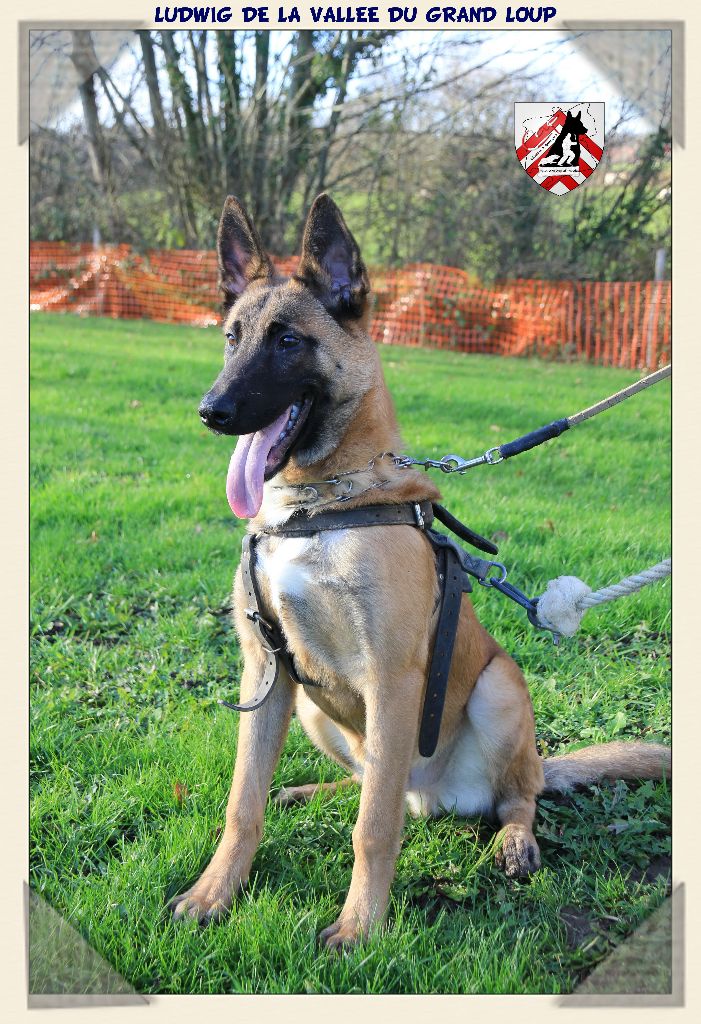 Publication : of Halloween